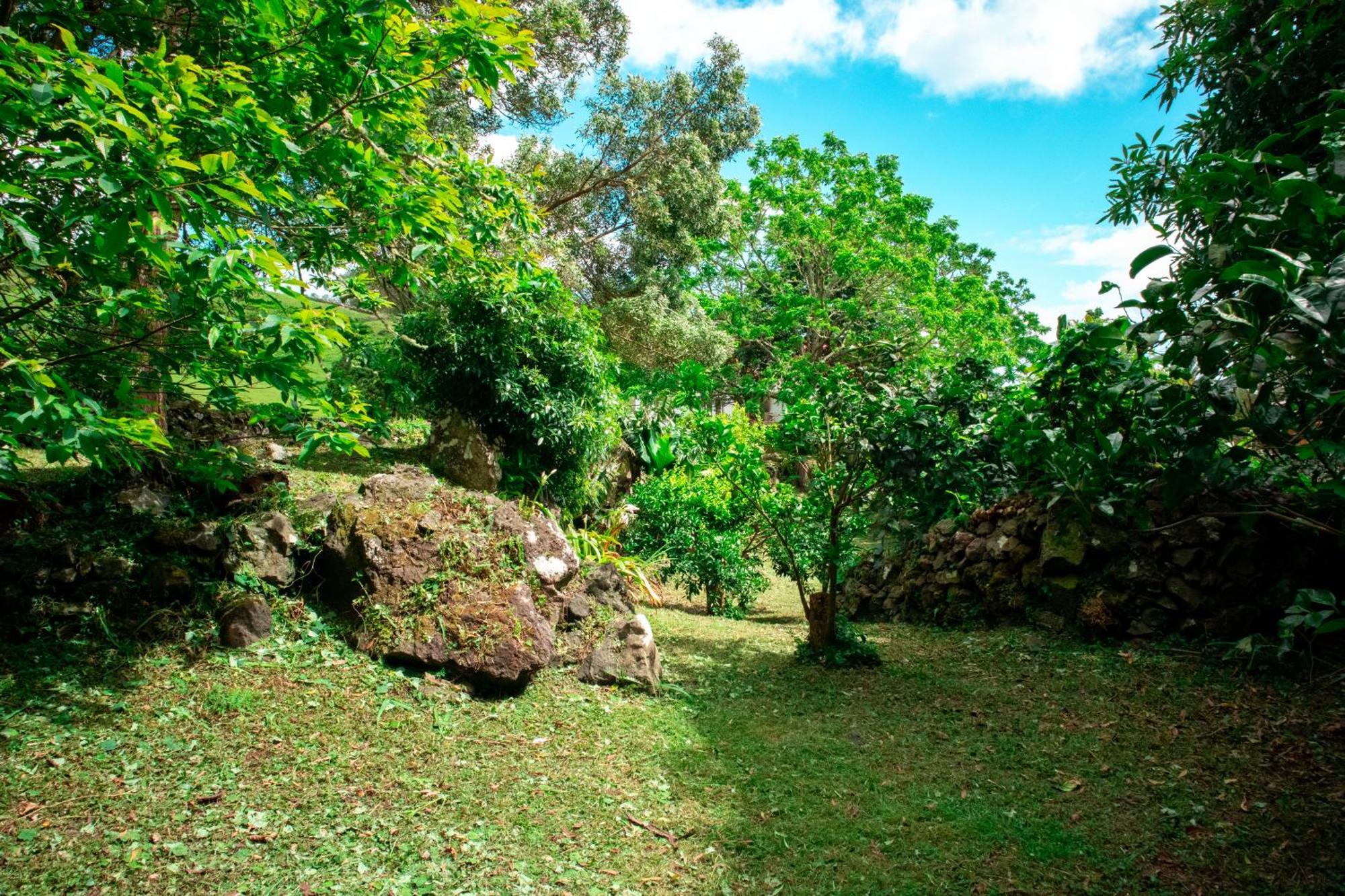 Casa De Campo Franco Da Serra Angra do Heroismo Exterior photo