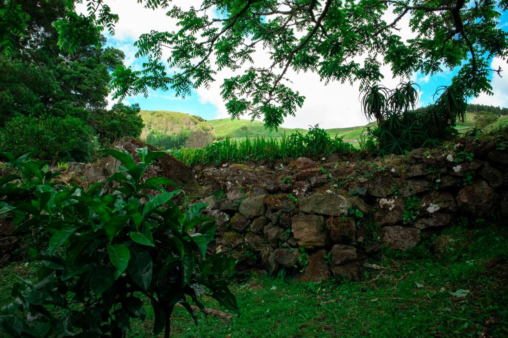Casa De Campo Franco Da Serra Angra do Heroismo Exterior photo
